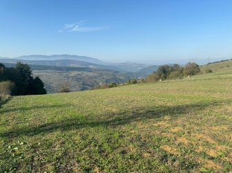 SAMSUN İLKADIM GÜRGENDAĞ MH. 6893 M2 DENİZ MANZARALI BUNGOLOVLAR BÖLGESİNDE ATA YOLUNA CEPHE ELEKTRİK YOL SU PROBLEMİ OLMAYAN FIRSAT TARLA.. 