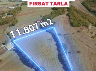 SAMSUN ATAKUM KULACADAĞ MH.    11.807 M2 ELEKTRİK, YOL, SU PROBLEMİ OLMAYAN 220 METRE KADASTROL YOLA CEPHESİ BULANAN EV YAPIMINA UYGUN FIRSAT TARLA