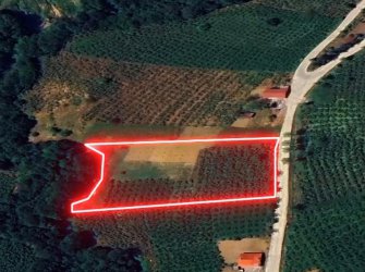 SAMSUN ATAKUM ERİKLİ MAH YOLA CEPHE YATIRIMLIK MÜKEMMEL KONUMDA 6.500m2 KUPON TARLA